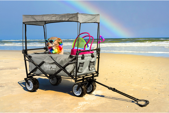 Stagecaptain Bollycart-907D GY Carretto Pieghevole con Tetto image 2