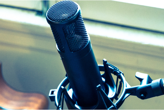 sE Electronics sE 2200 Grootmembraan Microfoon image 2