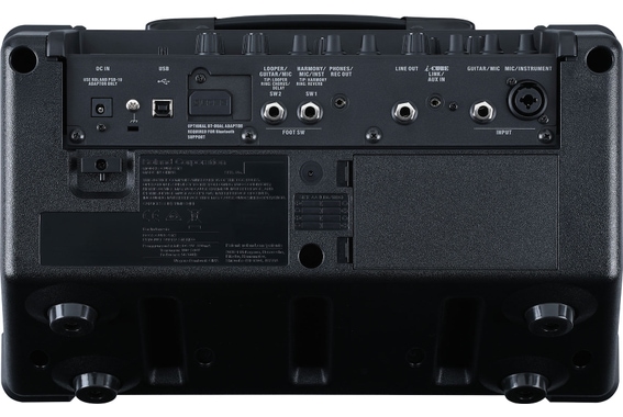 Roland CUBE Street II image 2