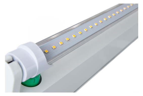 Showlite Tubo LED T8W24K45F-1500 1500mm Set da 2 (Bianco Luce Diurna 4500 K) image 2