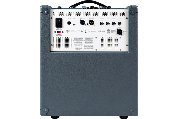 Darkglass Infinity 500 Combo 112 image 2