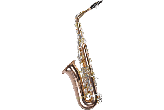 P. Mauriat Saxophone Alto SA-600 Venus image 2