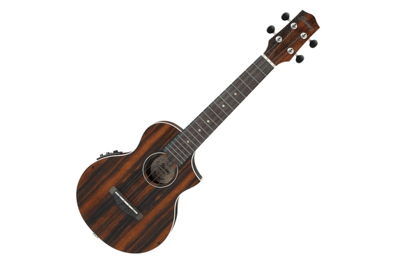Ibanez UEW13MEE-DBO Concert Ukulele Set image 2