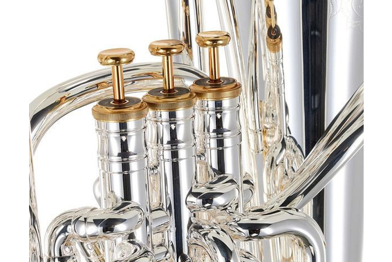 Cerveny VFC-EP8566RSIII Bb-Euphonium image 2