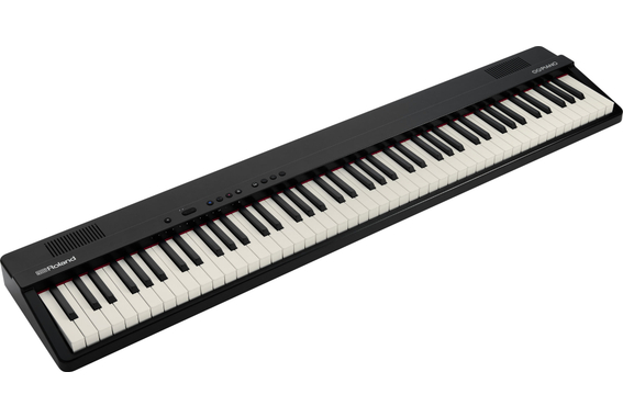 Roland GO-88PX GO:PIANO88 Deluxe Set image 2