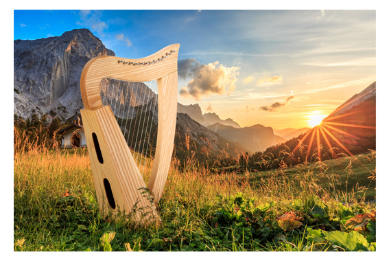 Classic Cantabile H-12 AW Keltische Harfe 12 Saiten  - Retoure (Zustand: gut) image 2