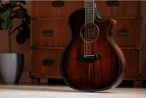 Taylor Next Generation Builder's Edition K24ce image 2