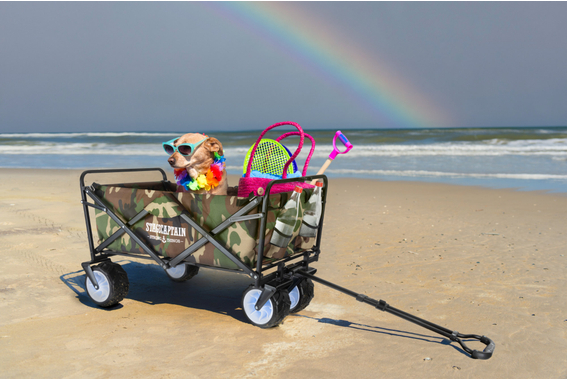 Stagecaptain BW-907 CA Bollycart Carrello Pieghevole Senza Tetto Camouflage image 2