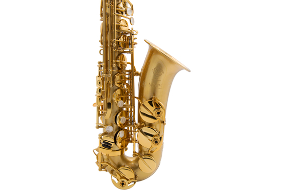 Selmer Supreme Saxophone Alto mat brossé image 2
