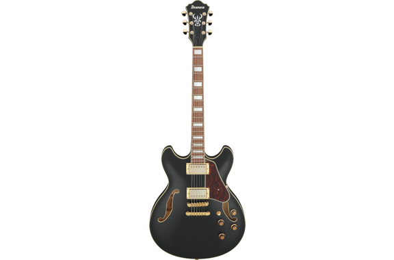 Ibanez AS73G-BKF Guitare Black Flat Set image 2