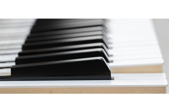 Classic Cantabile UP-1Plus SM Pianoforte Digitale Verticale Nero Opaco Set image 2