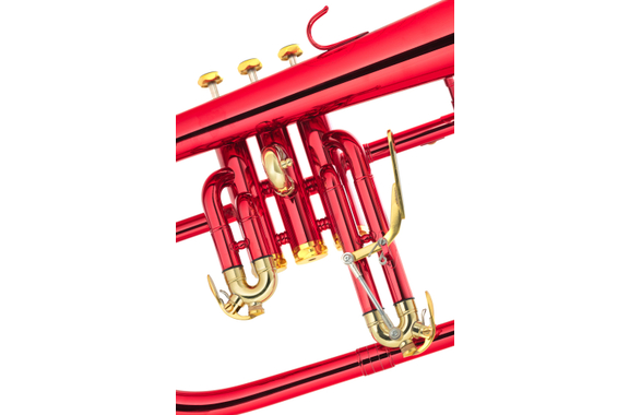 Lechgold FH-60AR Anima rossa Bb-fliscorno rojo image 2