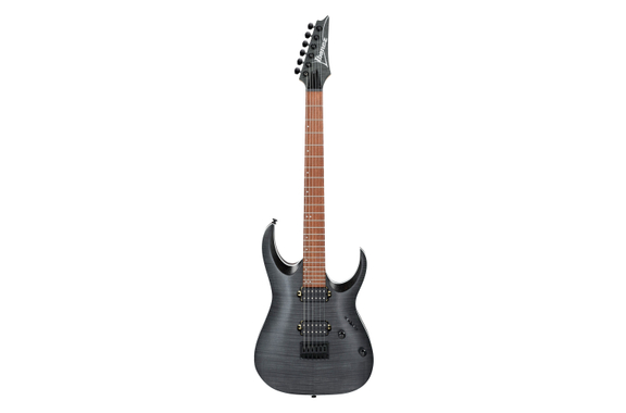 Ibanez RGA42FM-TGF Transparent Gray Flat image 2