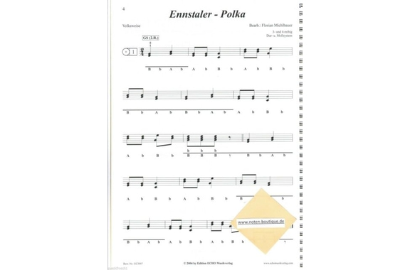 Michlbauer Mi Primer Libro de Canciones Incl. Audio Online image 2