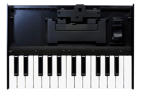 Clavier Roland K-25M image 2