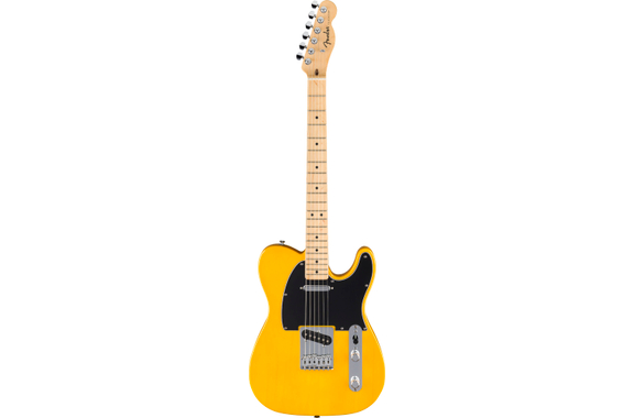 Fender Standard Telecaster Butterscotch Blonde Set image 2