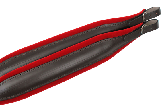 Alpenklang Tracolla Standard per Fisarmonica 96/120 Bass - rosso/marrone image 2