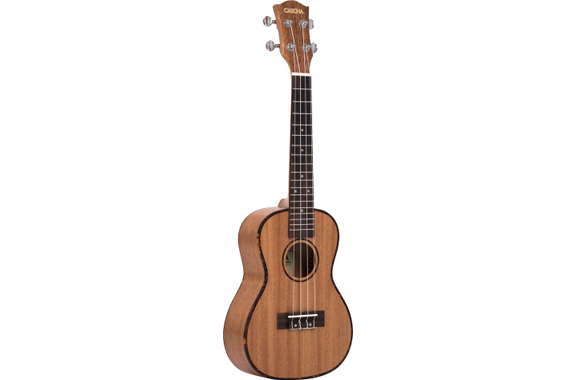 Cascha Premium Konzert Mahagoni Ukulele Set  - unvollständig! image 2