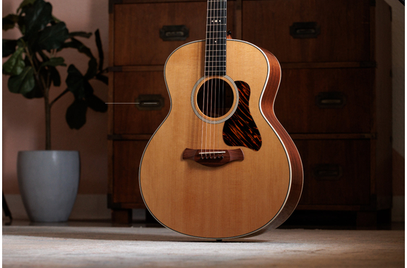 Taylor Gold Label 514e NAT image 2