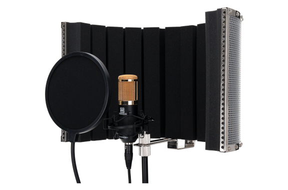 Pronomic CM-100BG Large-Diaphragm Microphone Complete Set incl. Stand, Pop Filter, Micscreen & Cable image 2