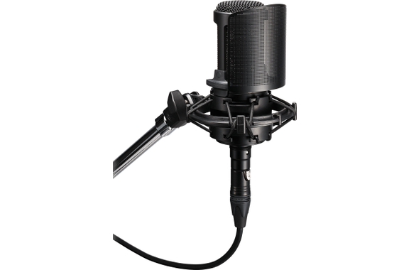 Audio-Technica AT8175 Popfilter image 2