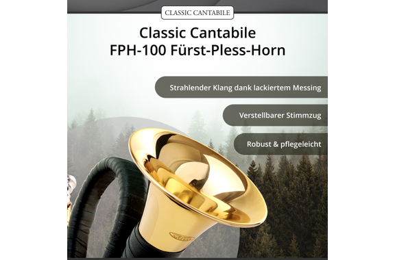 Classic Cantabile FPH-100 Fürst-Pless-Horn image 2