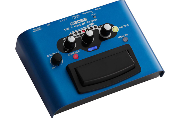Boss VE-1 Vocal Echo image 2