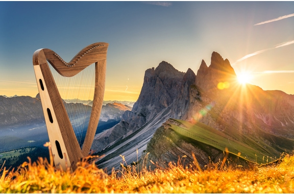 Classic Cantabile H-29 WN harpe celtique 29 cordes image 2