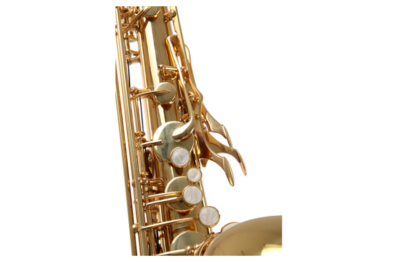 Classic Cantabile Winds TS-450 Saxophone Ténor Sib Set Anches 2.0 image 2