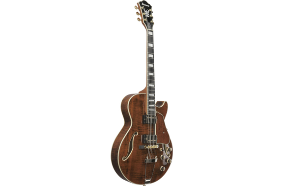 Ibanez AG95MG-DA Artcore Expressionist AG image 2