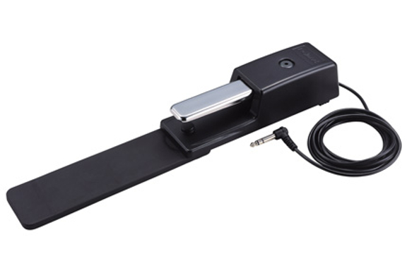 Roland DP-10 Pédale De Sustain image 2