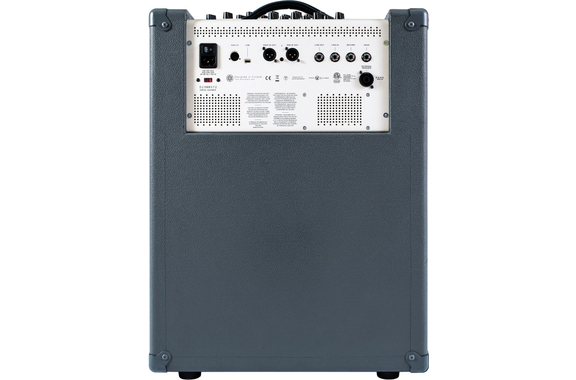 Darkglass Infinity 500 Combo 210 image 2