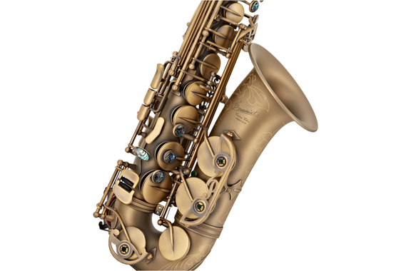 P. Mauriat XA-67R Vintage Altsaxofoon image 2