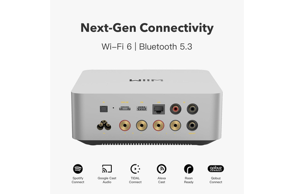 WiiM Amp Ultra Amplificatore Streaming Argento image 2