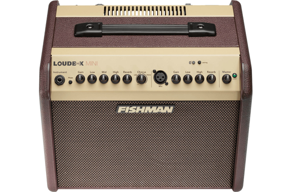 Fishman Loudbox Mini Bluetooth image 2
