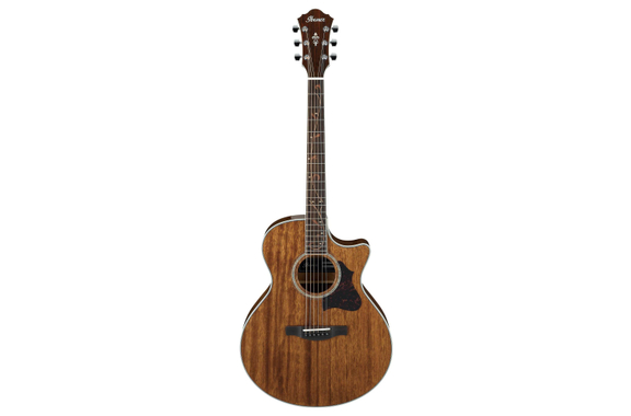 Ibanez AE245-NT Natural image 2