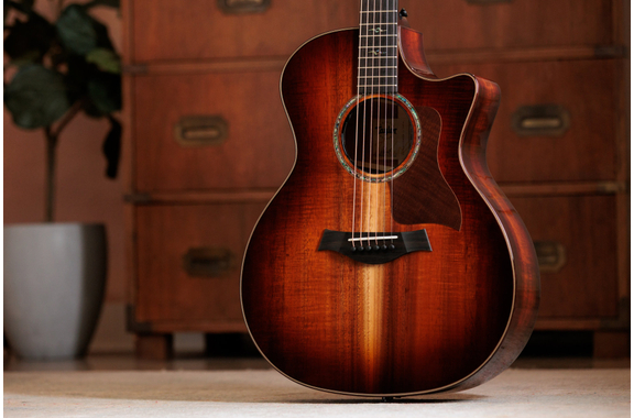 Taylor Special Edition K24ce image 2