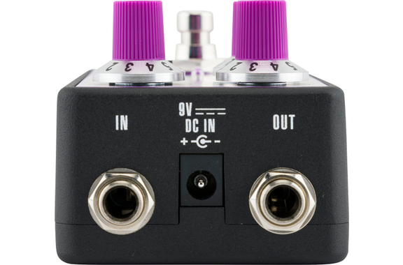 Fender Bassman Fuzz image 2