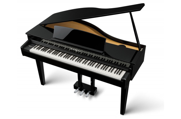Kawai DG-30 Piano Digital image 2