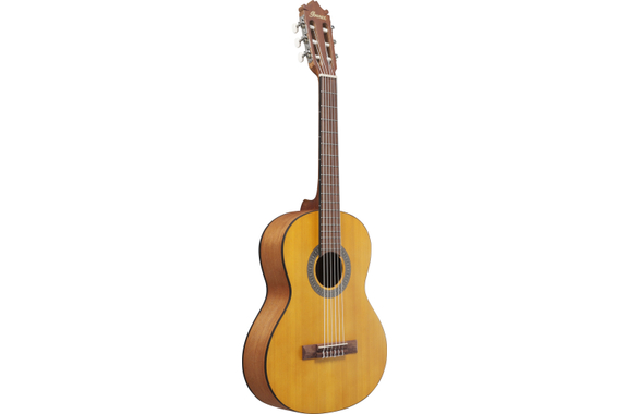 Ibanez GA2-OAM Open Pore Amber Set 3/4 image 2