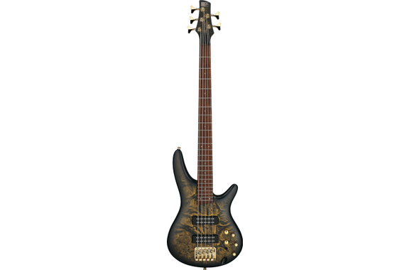 Ibanez SR305EDX-FDM Bajo Eléctrico Frozen Gold Matte image 2