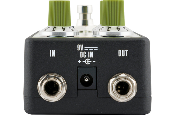 Fender Bassman Reverb image 2
