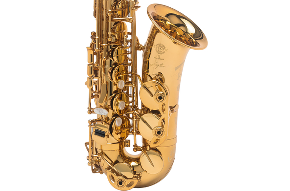 Selmer Sassofono Alto Eb Signature, Verniciatura Oro image 2