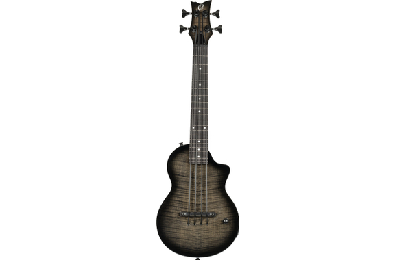 Ortega NEO-BS-TGB Neo Series Ukulele Bass Transparent Grey Burst image 2