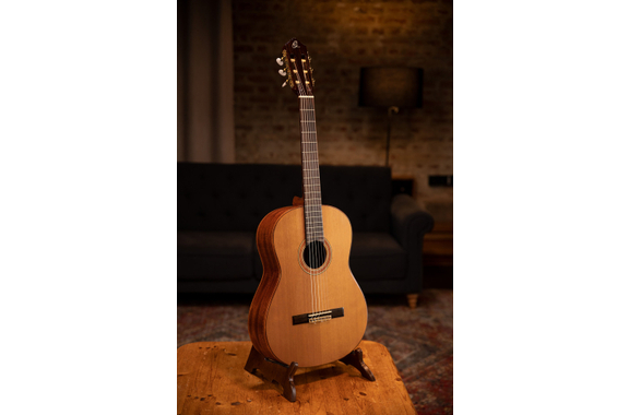 Ortega R159 Performer Series Guitare Classique image 2