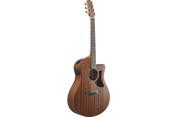 Ibanez AAM54CE-OPN Open Pore Natural image 2