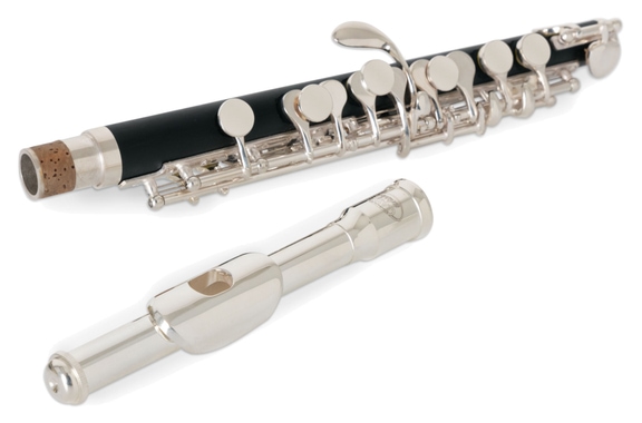 Classic Cantabile PF-300 Flautín image 2