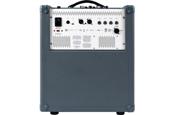 Darkglass Infinity 500 Combo 112 image 2