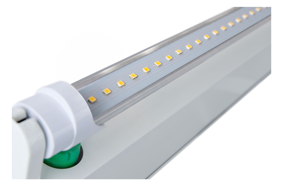 Showlite LED Tube T8W24K45F-1500 1500mm 100-Pack (Daylight White 4500K) image 2