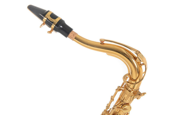 Roy Benson TS-202 Bb-Tenorsaxophon image 2